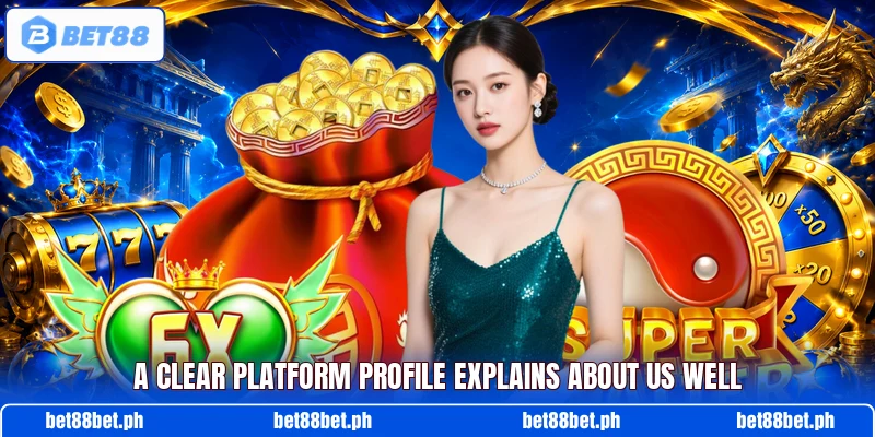 A clear platform profile explains about us well A clear platform profile explains about us well